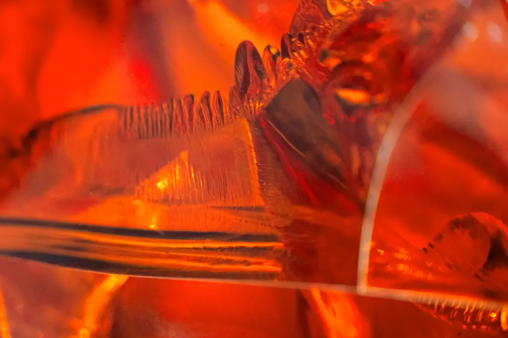 AMBER RAISED TO THE THIRD POWER