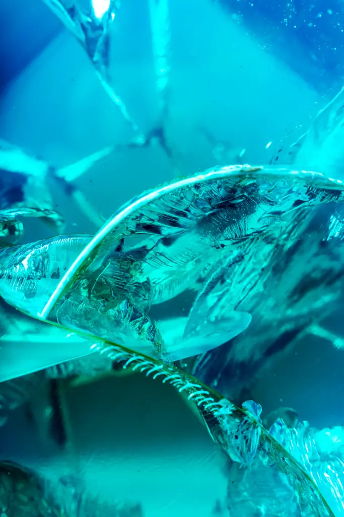 THE JEWEL OF THE SEA
